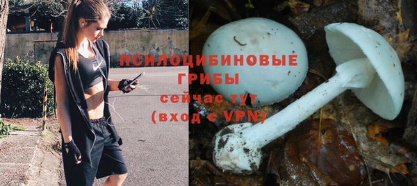 a pvp Вяземский